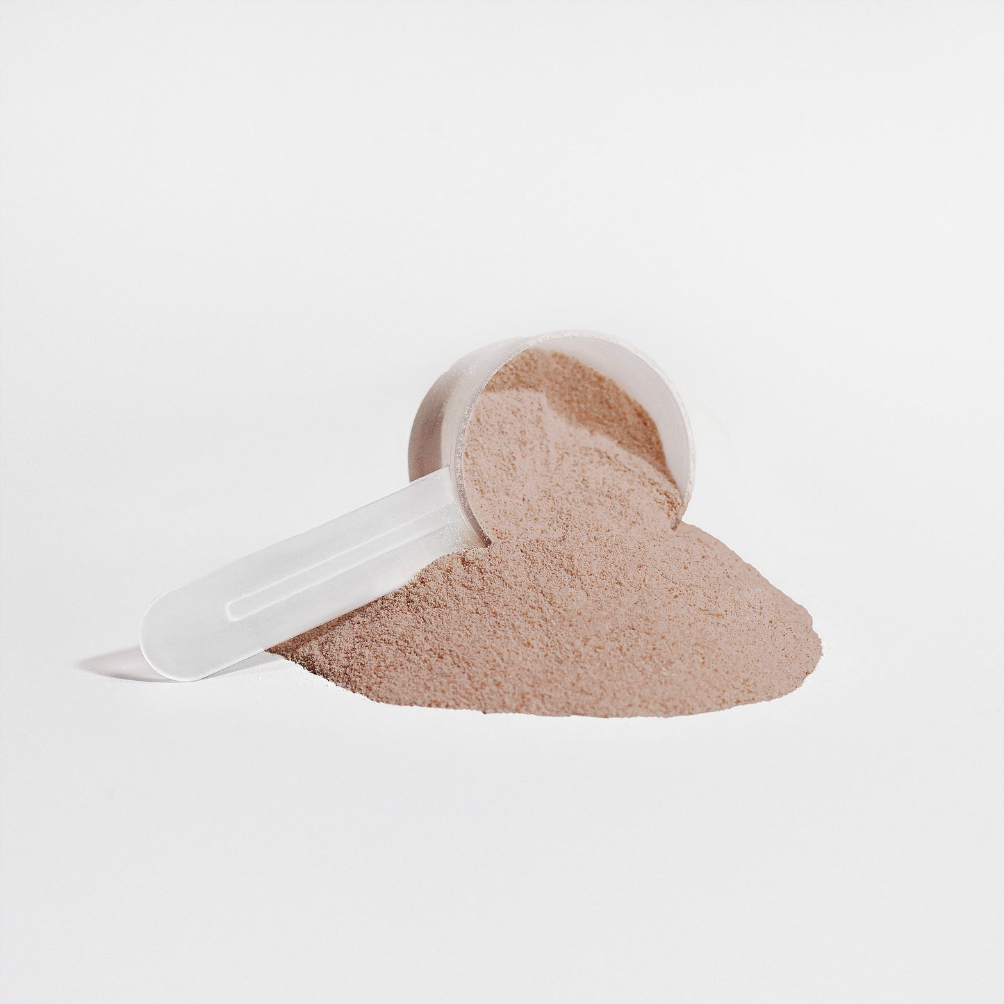 Plant Fury Vegan Protein (Savage Cacao)