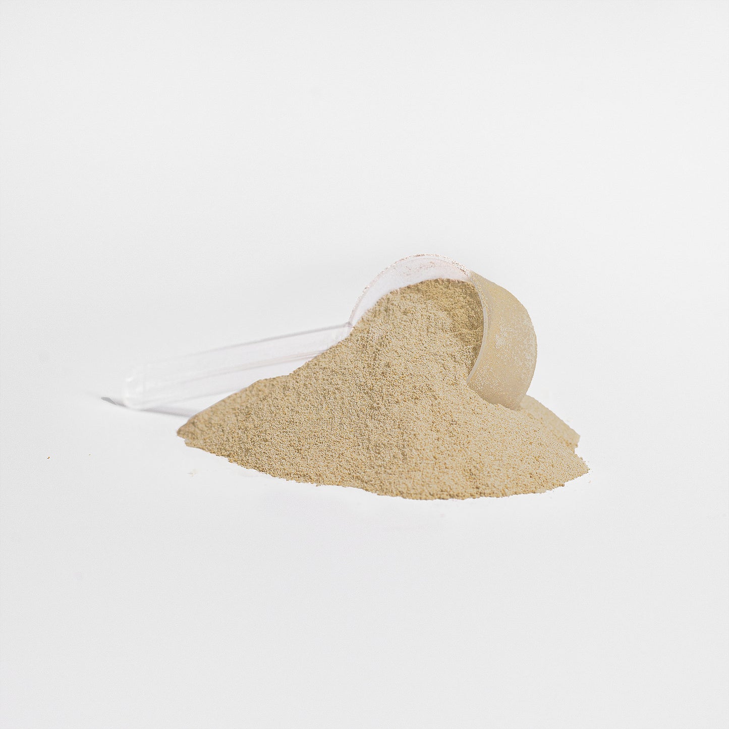 Plant Fury Vegan Protein (Vanilla Gorilla)